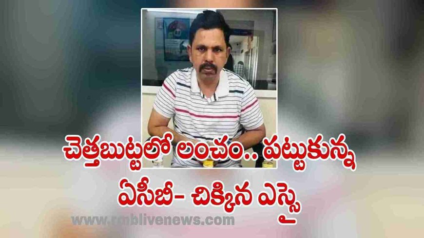 చెత్తబుట్టలో లంచం.. పట్టుకున్న ఏసీబీ- చిక్కిన ఎస్సై