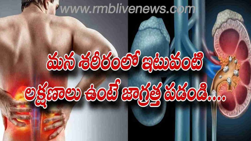 Healthcare: మన శరీరంలో ఇటువంటి లక్షణాలు ఉంటే జాగ్రత్త పడండి....