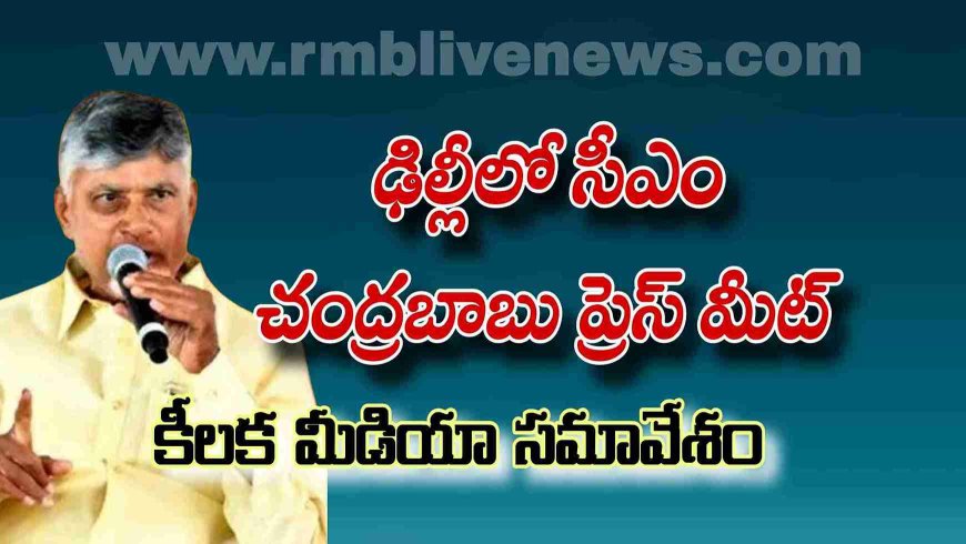 ఢిల్లీ: ఏపీ సీఎం చంద్రబాబు ప్రెస్ మీట్! కీలక స్పీచ్