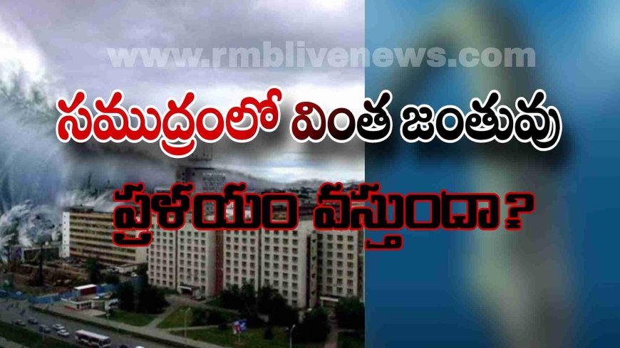 సముద్రంలో వింత జంతువు! ప్రళయం వస్తుందా?