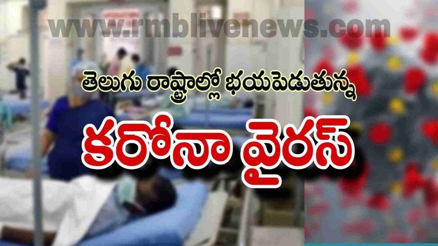 తెలుగు రాష్ట్రాల్లో భయపెడుతున్న కరోనా వైరస్! అలర్ట్