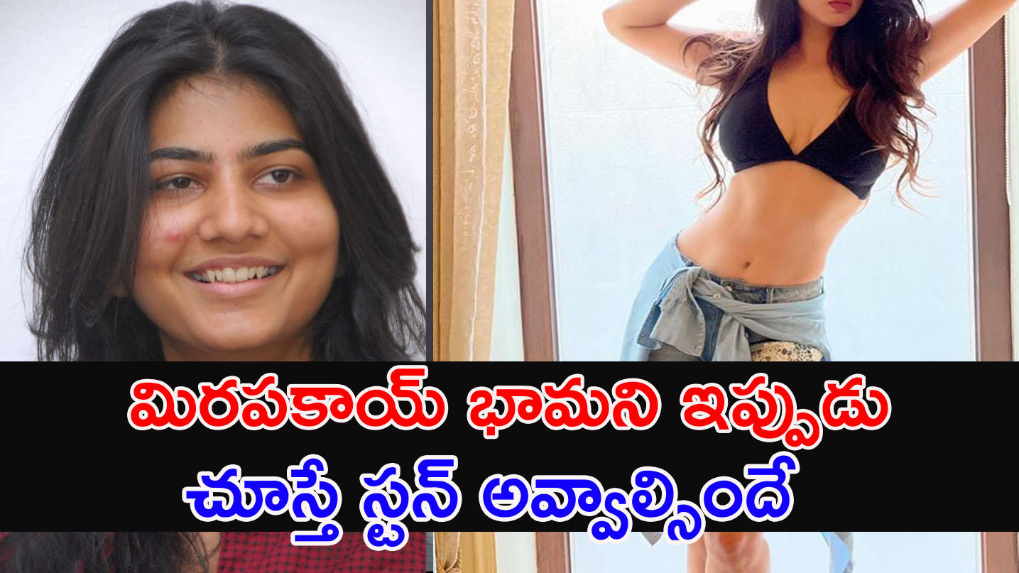 Mirapakay | మిరపకాయ్ సినిమాలో డిఫరెంట్ వాయిస్‌ చేసిన ఈ నటి ఇప్పుడు ఏం చేస్తుందో తెలుసా .