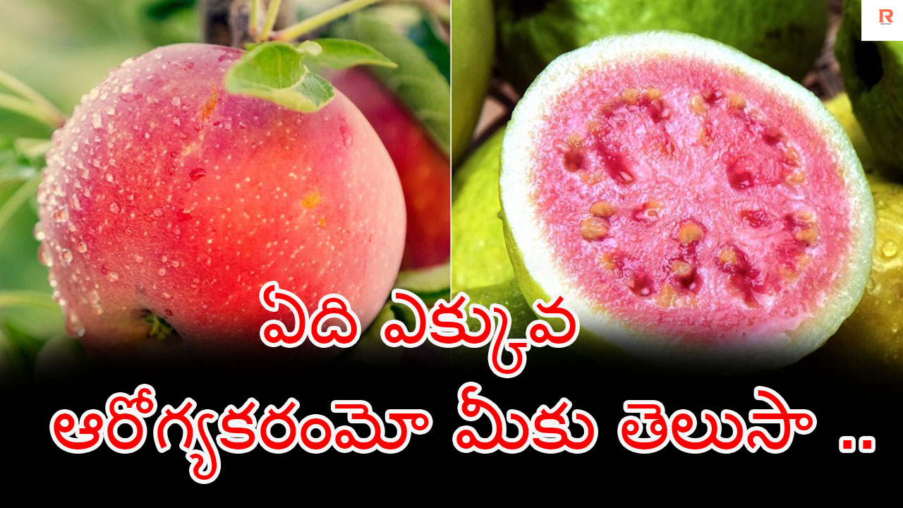 Fruit Benifits